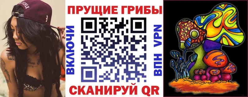 Псилоцибиновые грибы GOLDEN TEACHER  МЕГА как войти  Десногорск  где продают наркотики 