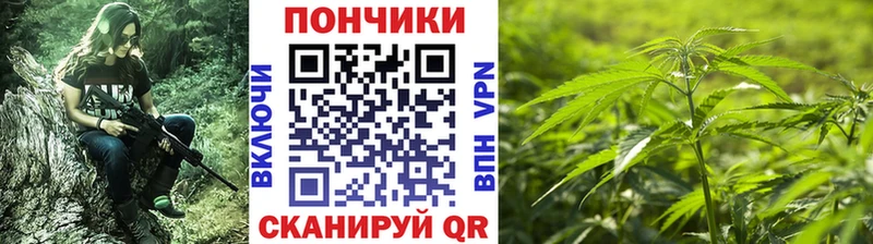 закладка  mega сайт  МАРИХУАНА тримм  Десногорск 